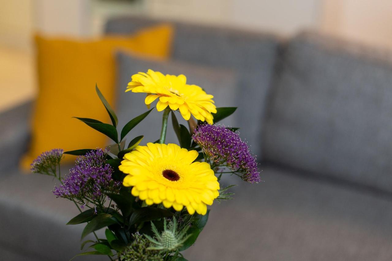 Apartment Sampo *
